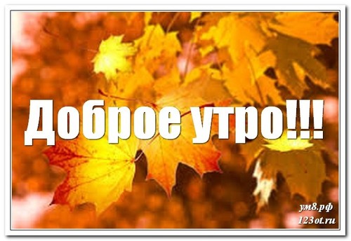 Прекрасного утра, открытка для мужчины, для мужа, природа