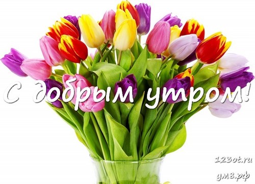 С добрым утром, открытка с цветочками (цветы) для девушки, женщины